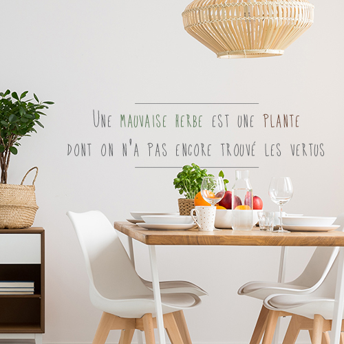 Citation Mauvaise Herbe adhésive collée au mur d'une pièce à vivre.