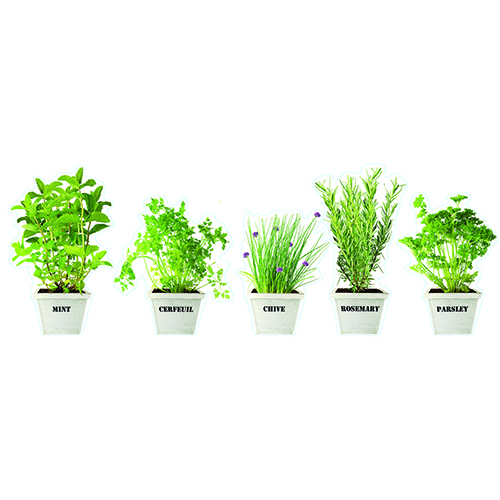 Sticker électrostatique Plantes Aromatiques vert pour déco de fenêtres ou vitres de cuisine et salle à manger