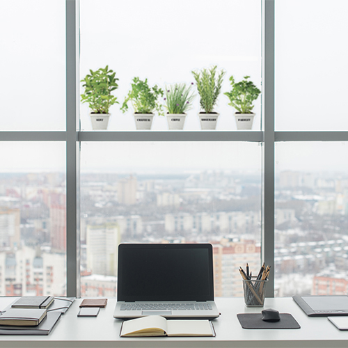 Déco électrostatiques pour vitres et fenêtres de cuisine plantes aromatiques décoration d'un bureau contemporain