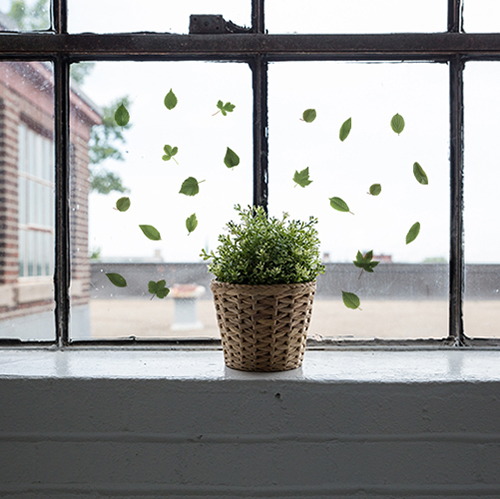 Stickers élctrostatiques pour vitres et fenêtres herbier feuilles vertes sur une fenêtre vintage