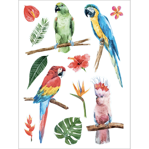 Sticker déco pour vitres et fenêtres Oiseaux exotiques perroquets de couleurs