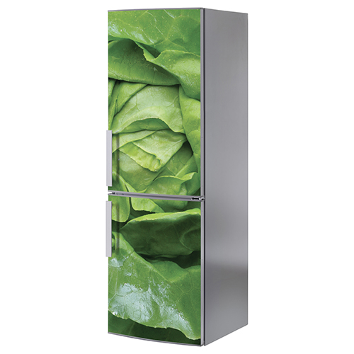 Adhésif salade verte pour décoration de frigo en inox gris