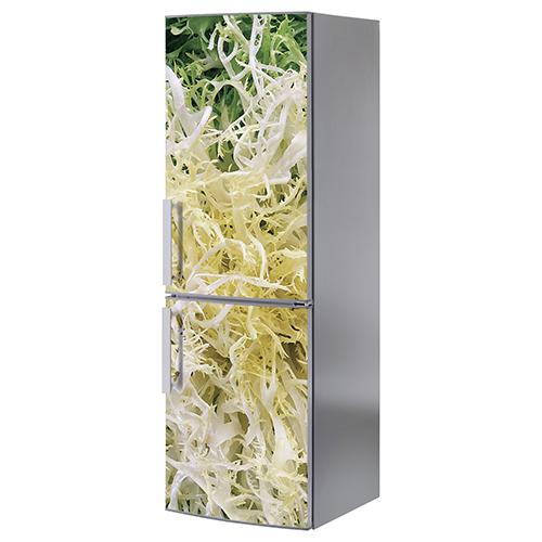 Grand frigo classique orné d'un sticker salade frisée