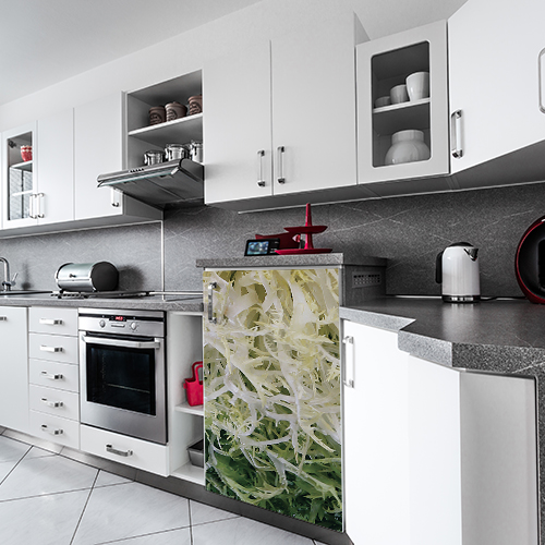 Petit frigo moderne décoré avec un autocollant salade frisée