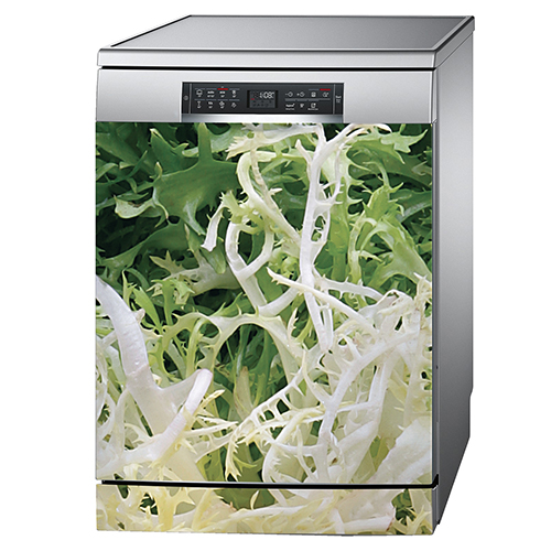 Sticker autocollant salade frisée collé sur une porte de lave vaisselle