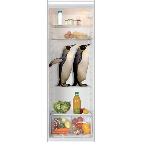 Sticker autocollant intérieur de frigo pinguin pour grand frigo