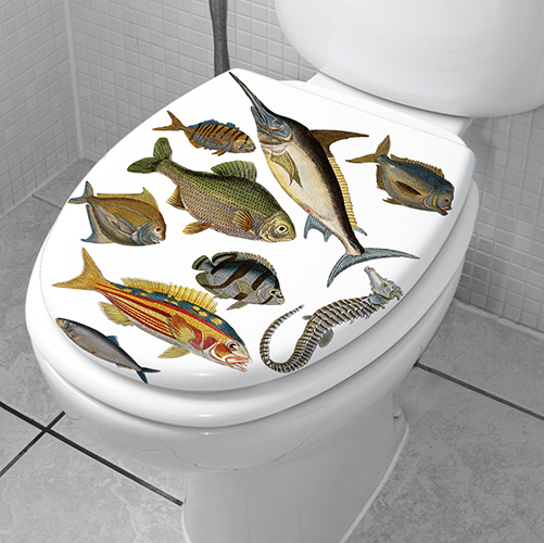 Autocollant collé sur des WC Poissons