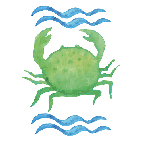 Sticker autocollant vert crabe à la mer pour déco de salle de bain pour enfants