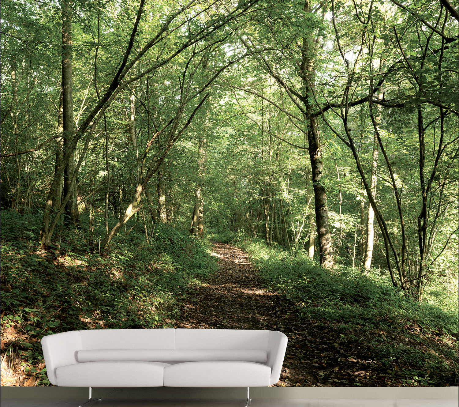 panoramique décoratif mural prêt à coller avec une photo d'un chemin forestier dans les bois