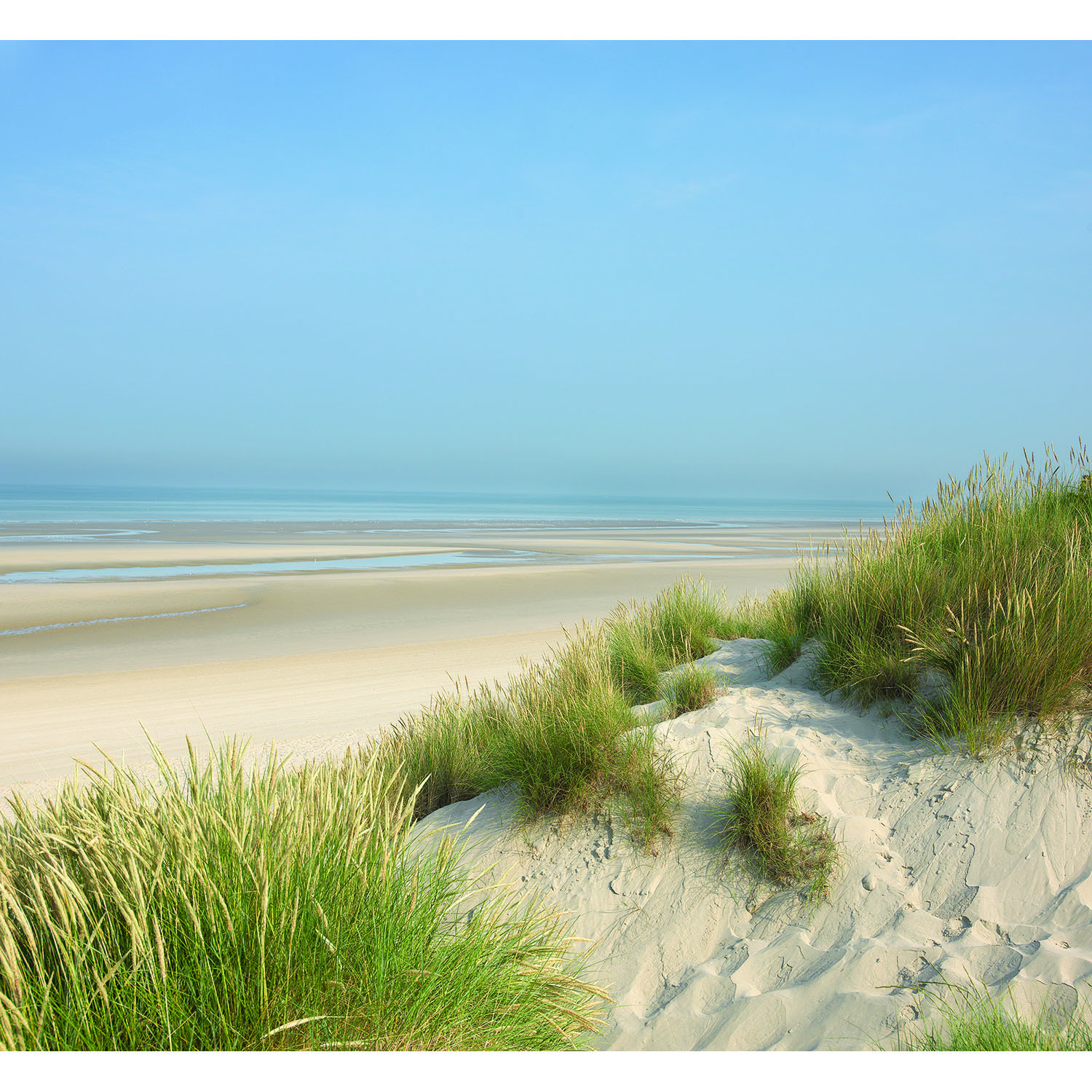 Pano dune et vue sur mer spécial salon