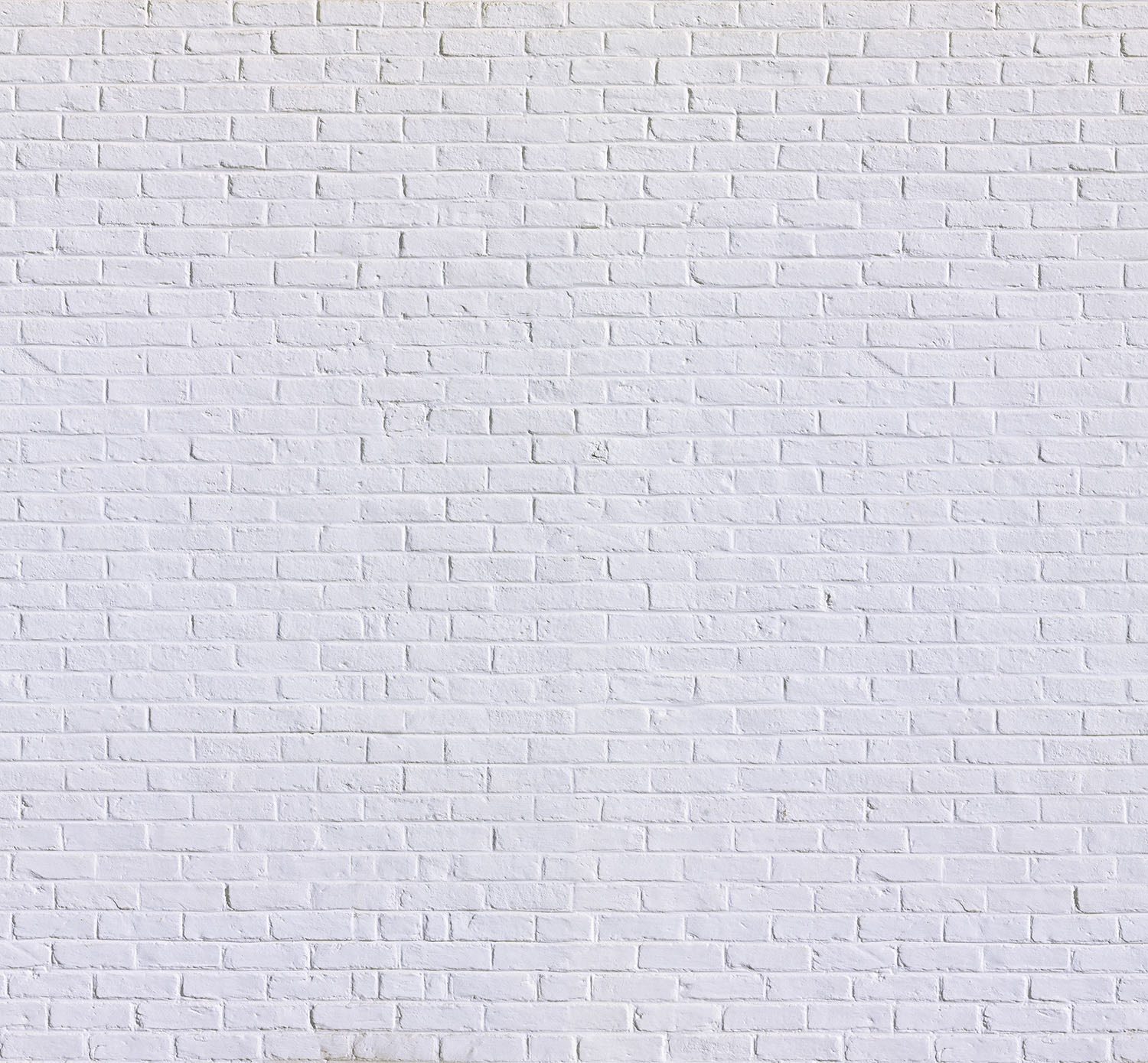 Mur d’image briques blanches