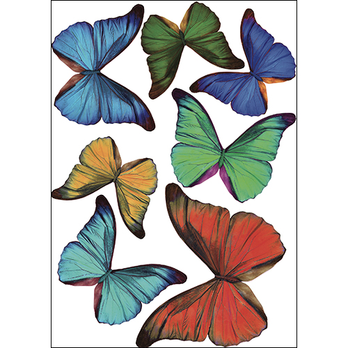 Sticker autocollant Papillons multicolores décoration en 3D