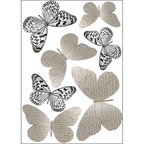 Stickers muraux 3D Papillons en noirs et blancs avec des papillons manuscrits