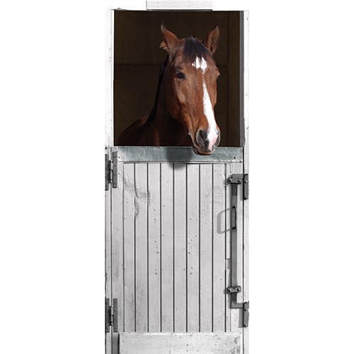 Sticker pour porte - Cheval et box blanc en trompe l'oeil