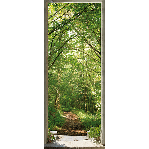 Poster de porte - Forêt - Nature - Vert - Sticker de porte - Porte Papier  peint photo