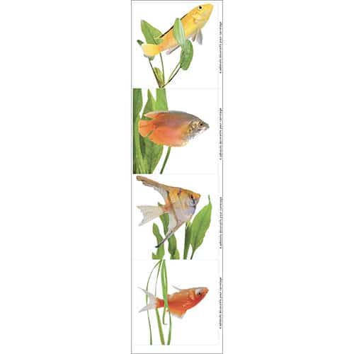 sticker pour carrelage 4 Poissons