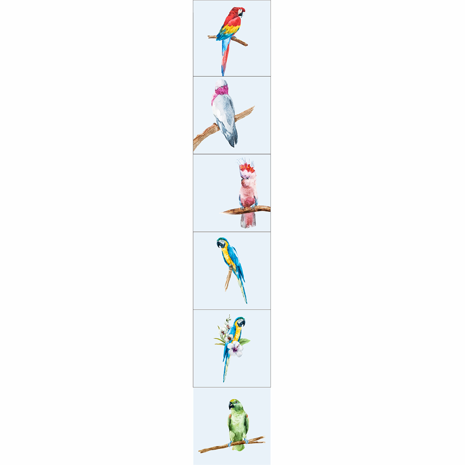 stickers pour carrelage perroquets multicolores