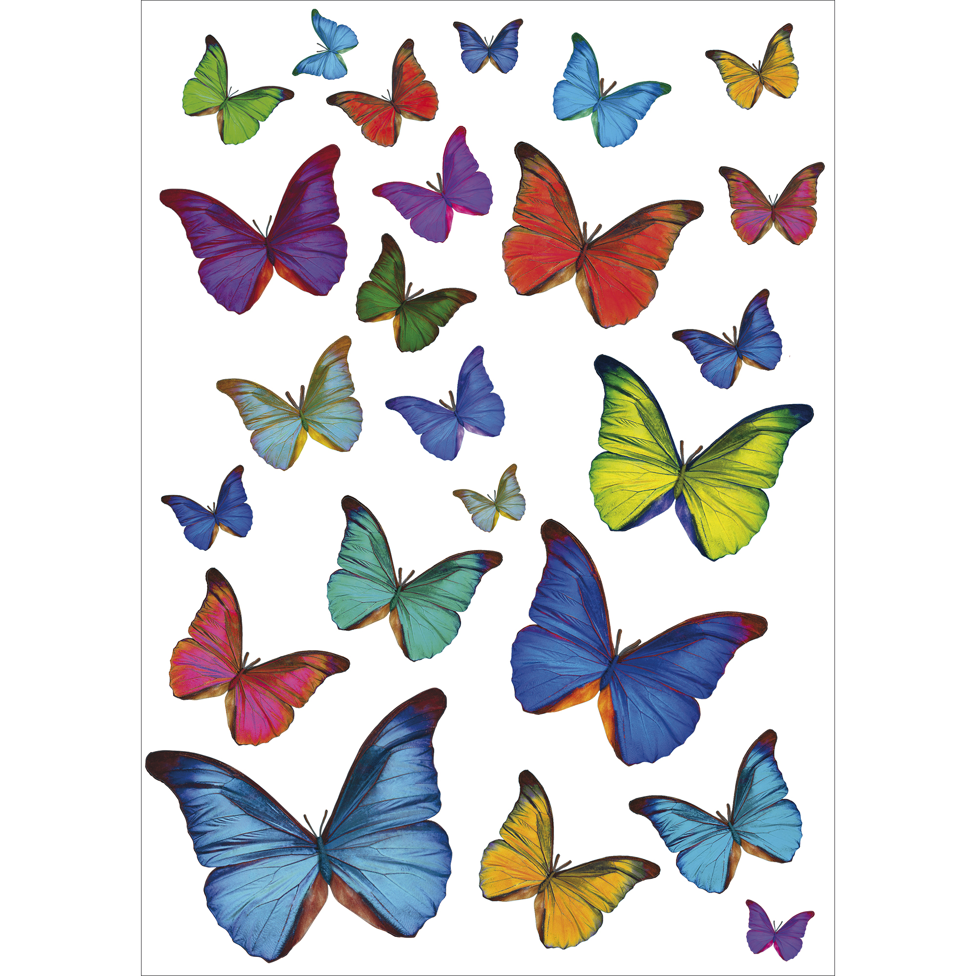 152894 48X68 PAPILLONS MULTICOLORES PLANCHE