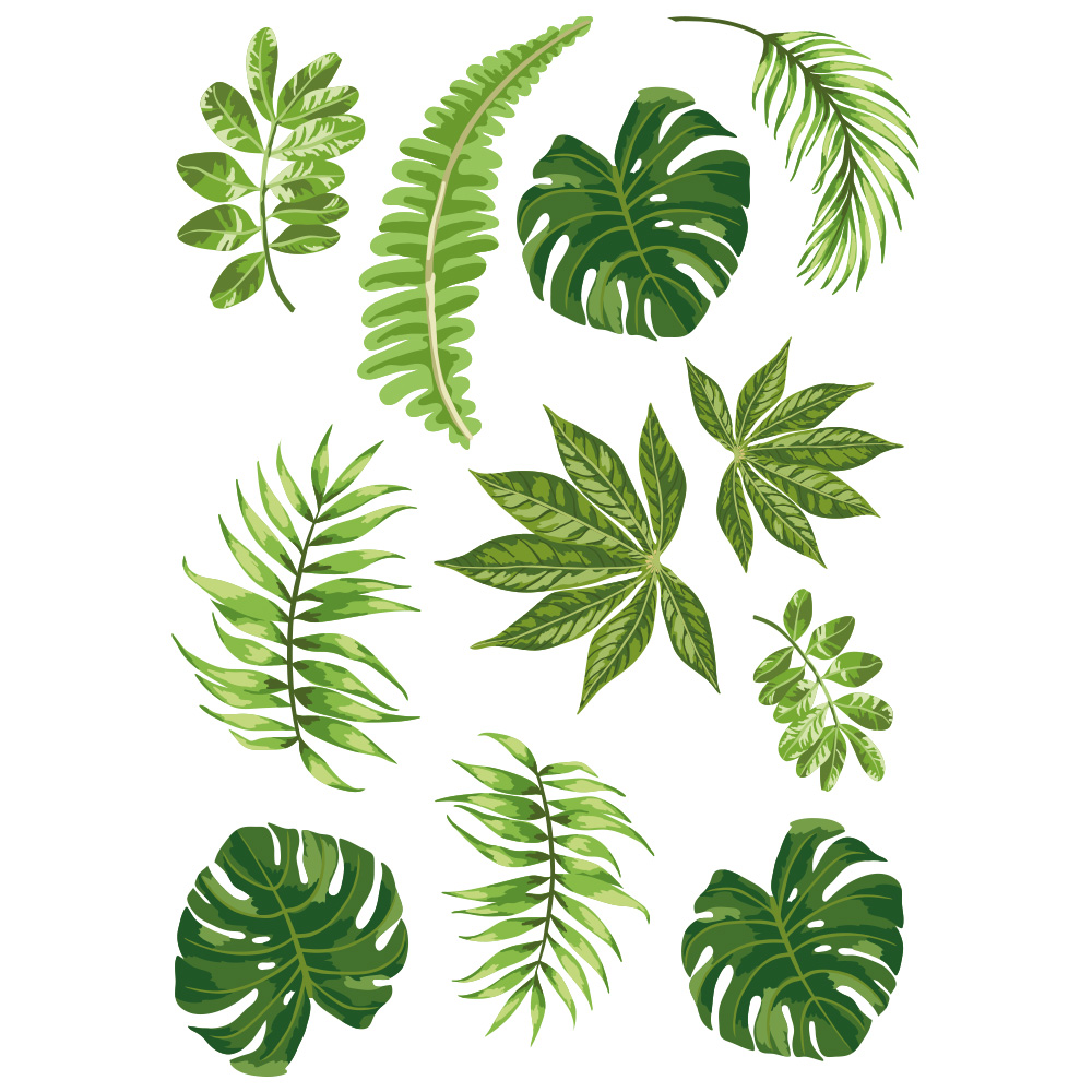 Stickers plante Monstera – Déco Exotique