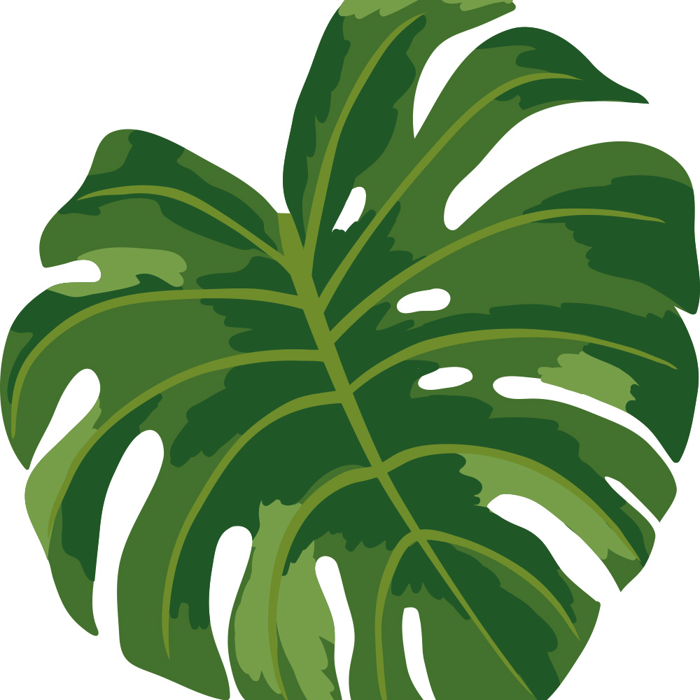 Stickers plante Monstera – Déco Exotique