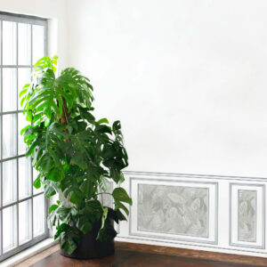 Soubassement, panoramique soubassement, papier peint panoramique imitation soubassement 75x200cm tropical feuilles vertes